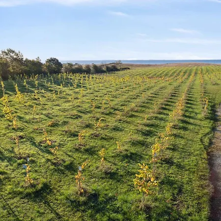 Apartment Italien Vinyard Feeling Close To Karrebaeksminde