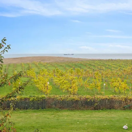 Italien Vinyard Feeling Close To Apartamento