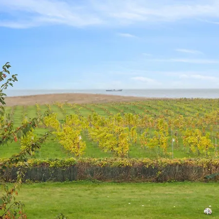 Appartamento Italien Vinyard Feeling Close To Karrebæksminde