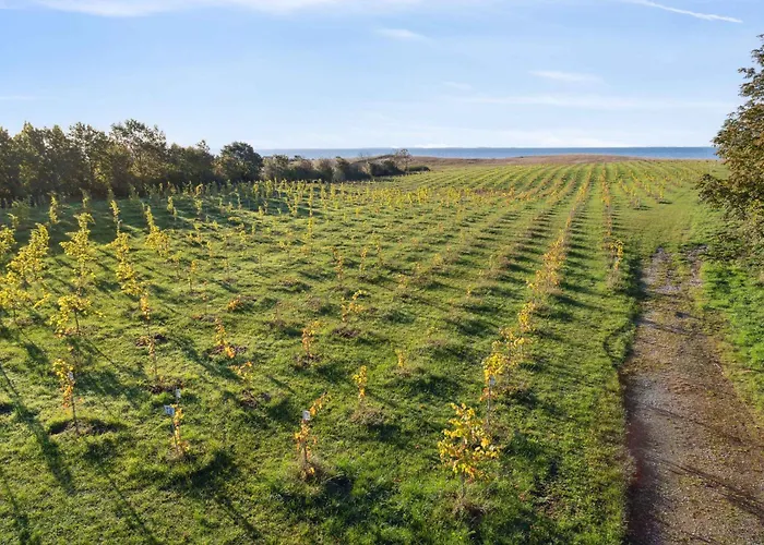 Apartment Italien Vinyard Feeling Close To Karrebaeksminde